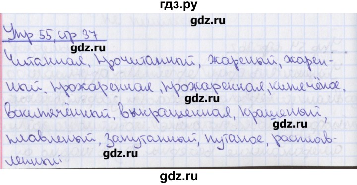 ГДЗ по русскому языку 7 класс Ефремова рабочая тетрадь (Баранов)  упражнение - 55, Решебник №1