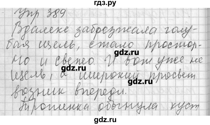 ГДЗ по русскому языку 7 класс Бунеев   упражнение - 389, Решебник