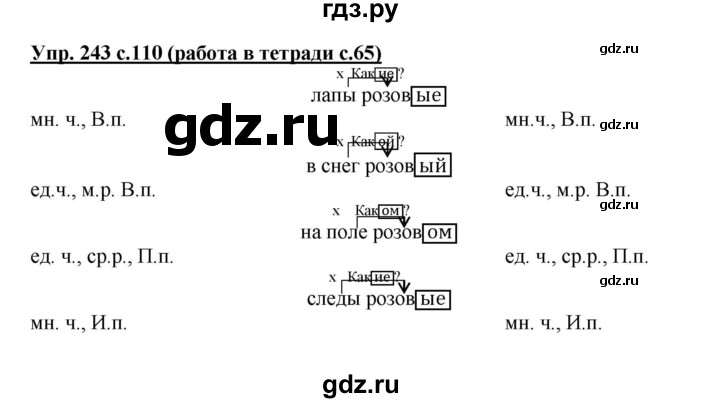 ГДЗ по русскому языку 4 класс  Соловейчик   упражнение - 243, Решебник