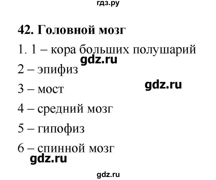 ГДЗ по биологии 8 класс Пасечник рабочая тетрадь  параграф - 42, Решебник